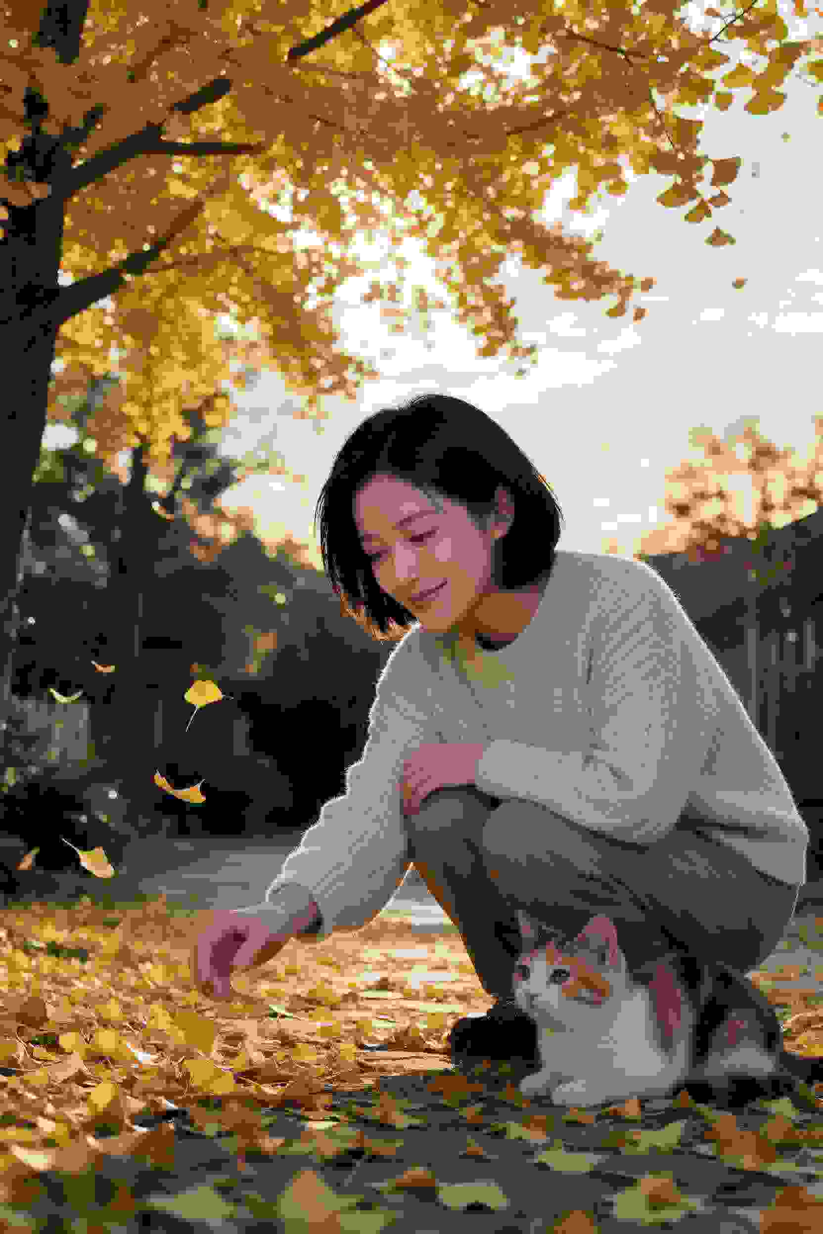 速度与激情